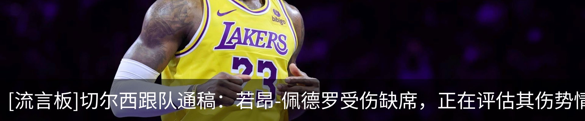最新动态
